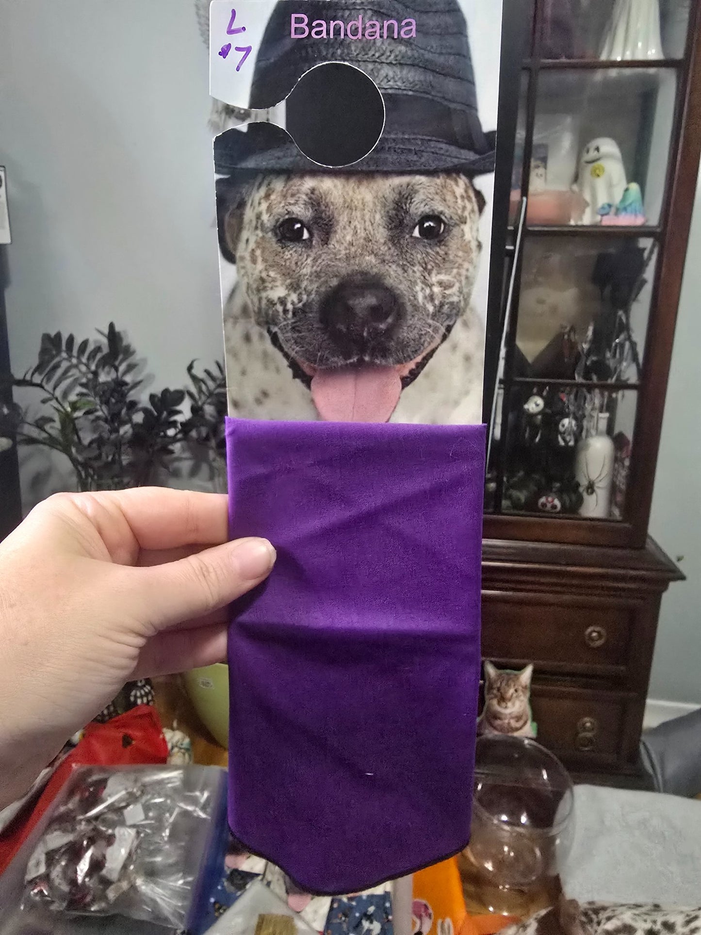 665f5e7d04f32b049949ecdf_lg-bandana-purple_1767987407848.jpg