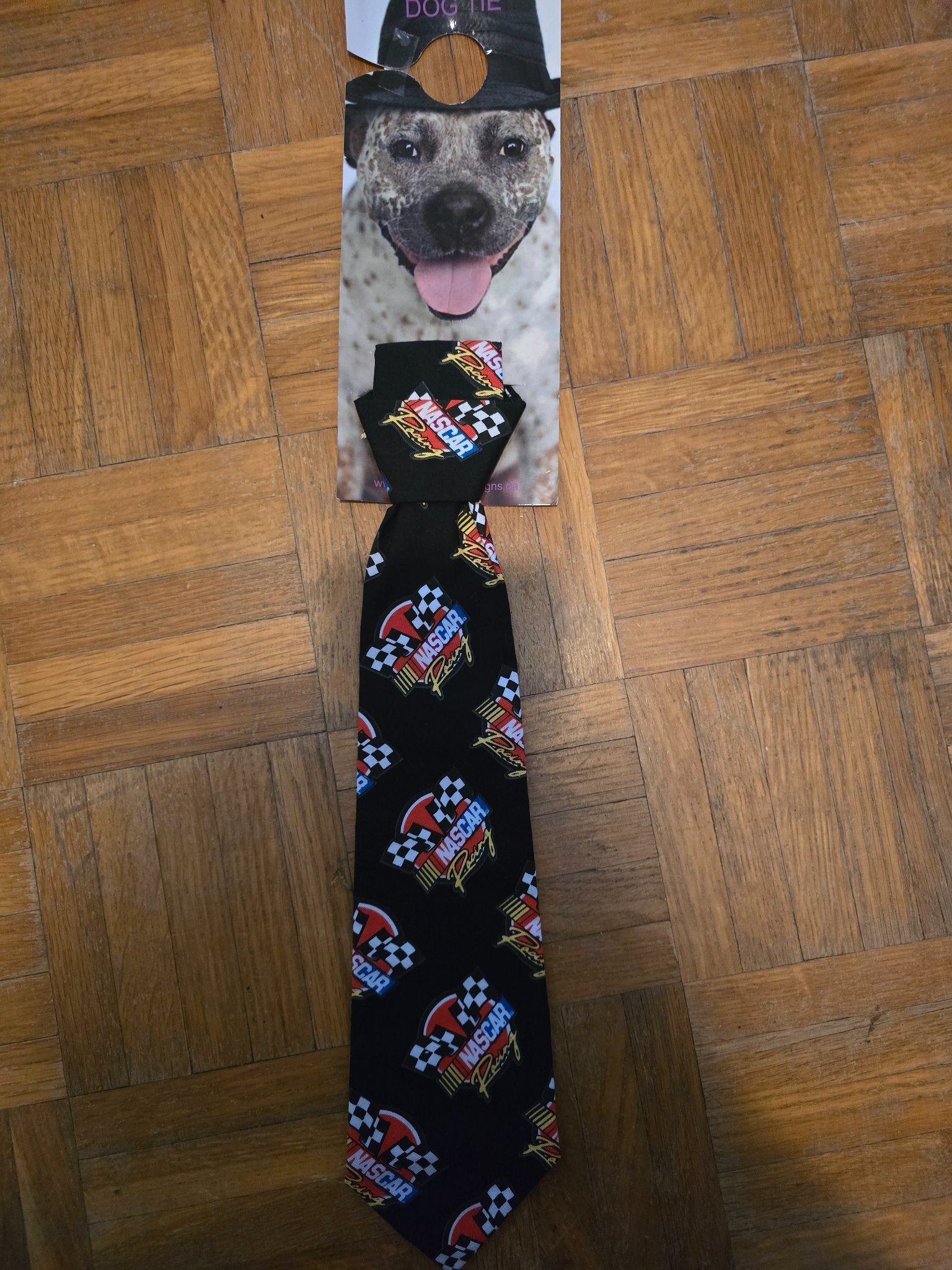 665f5e7d04f32b049949ecdf_lg-tie-nascar_1762278856595.jpg