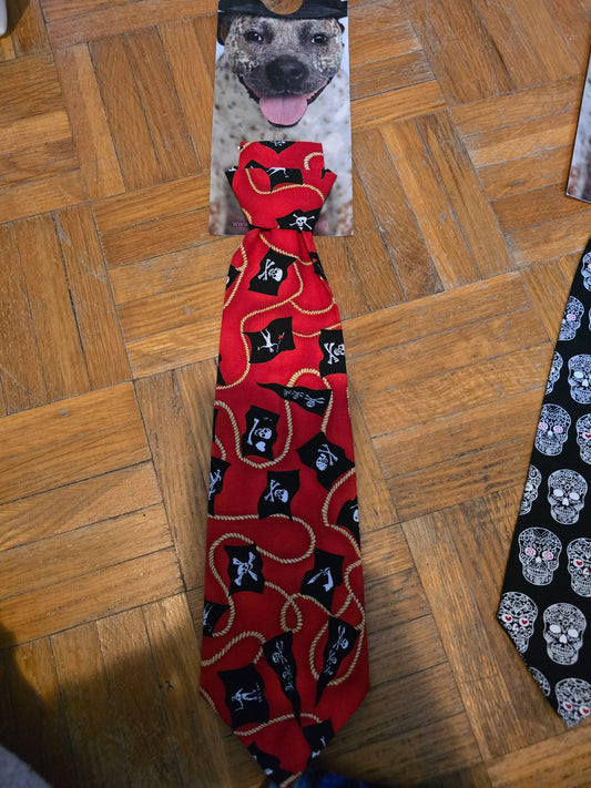 665f5e7d04f32b049949ecdf_lg-tie-pirates_1762278974923.jpg