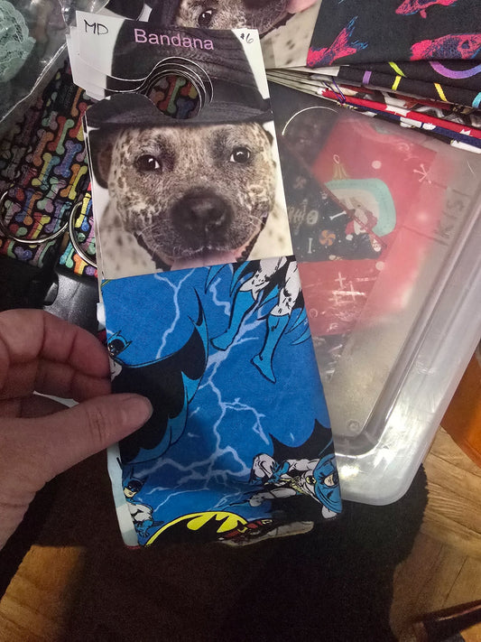 665f5e7d04f32b049949ecdf_md-bandana-batman_1767988776403.jpg