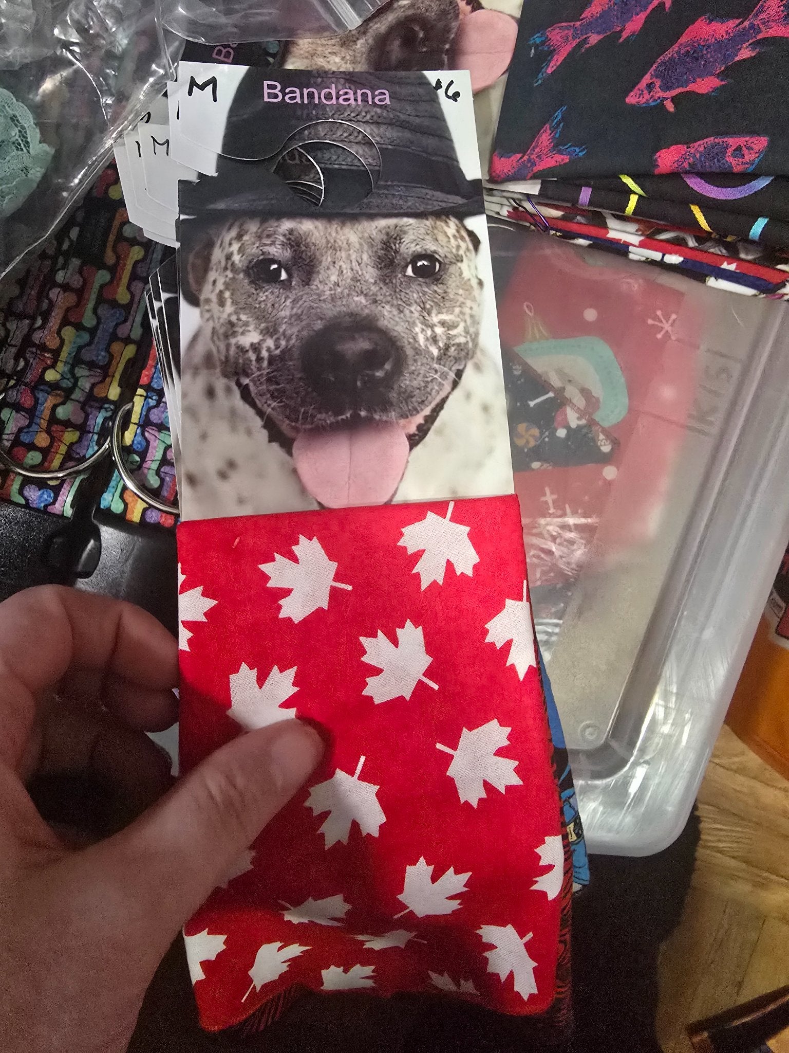 665f5e7d04f32b049949ecdf_md-bandana-canada_1767988893848.jpg