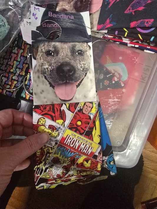 665f5e7d04f32b049949ecdf_md-bandana-ironman_1767989155659.jpg