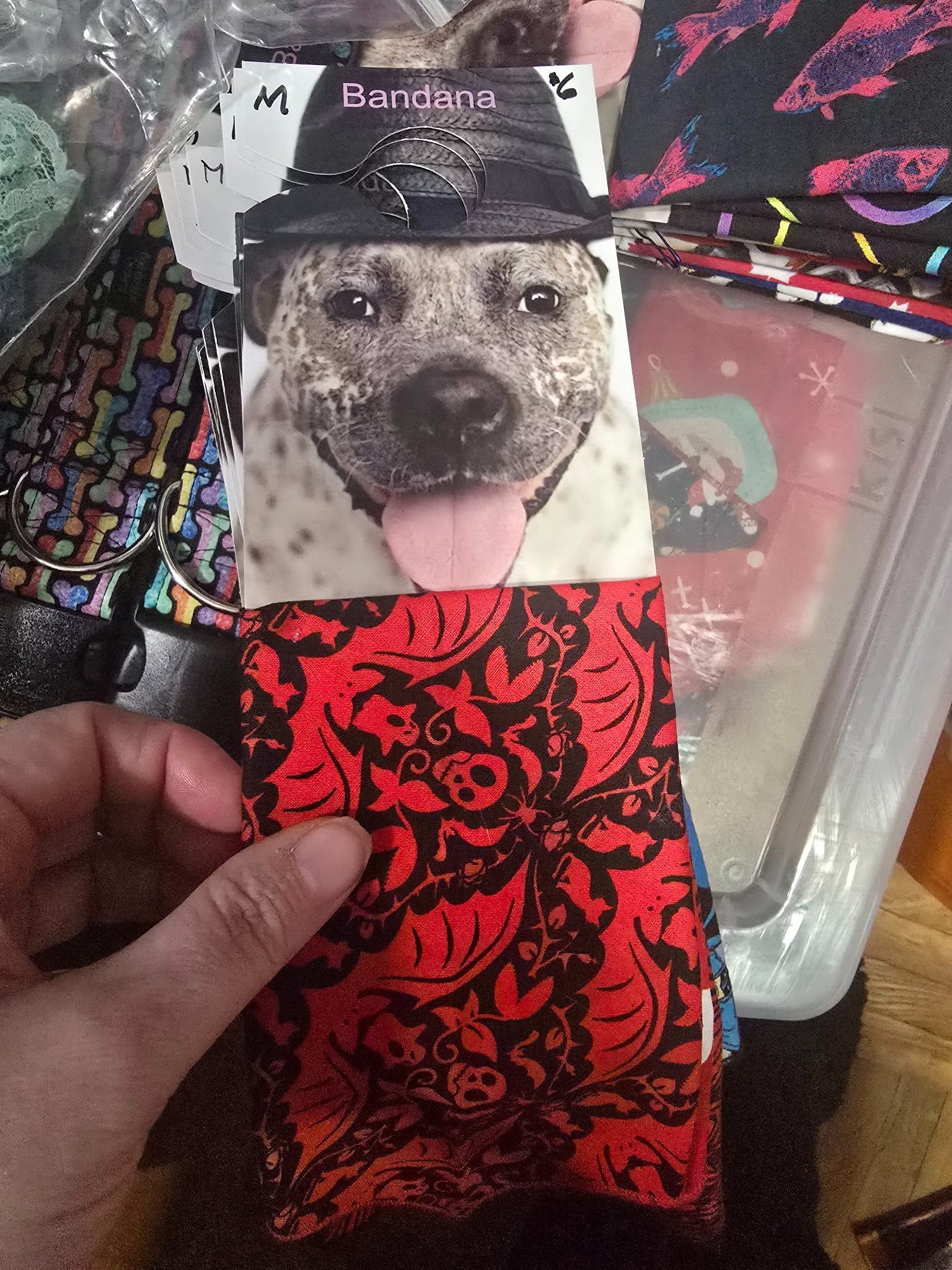 665f5e7d04f32b049949ecdf_md-bandana-red-bats_1767989241620.jpg