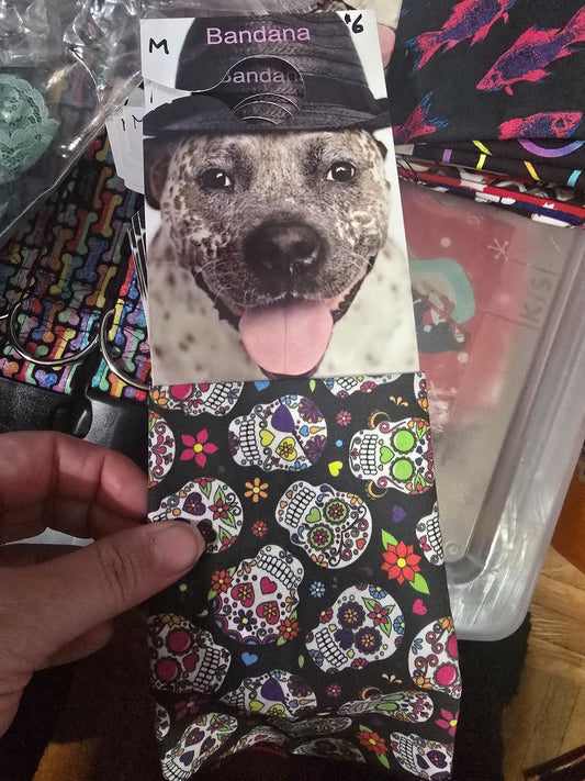 665f5e7d04f32b049949ecdf_md-bandana-sugar-skulls_1767989360344.jpg