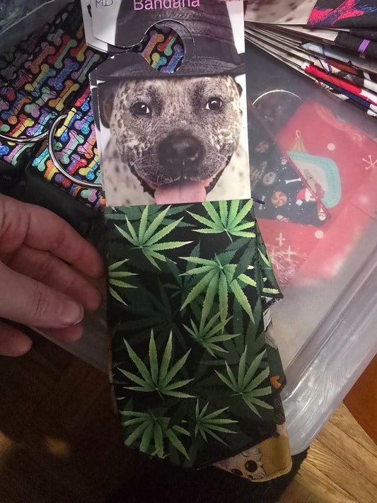 665f5e7d04f32b049949ecdf_md-bandana-weed_1767990948451.jpg