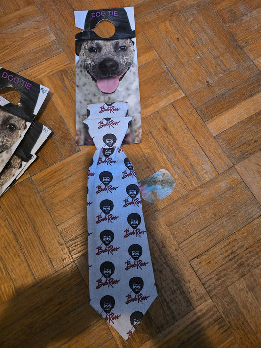 665f5e7d04f32b049949ecdf_md-tie-bob-ross_1762276437970.jpg