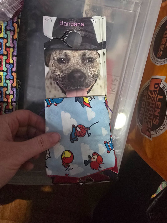 665f5e7d04f32b049949ecdf_sm-bandana-dc_1768061942954.jpg