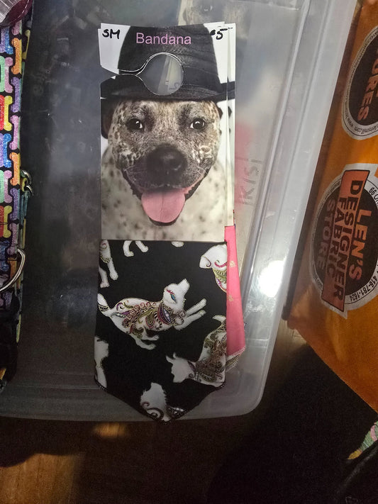 665f5e7d04f32b049949ecdf_sm-bandana-dogs-on-black_1768062018218.jpg