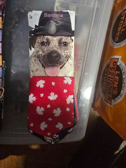 665f5e7d04f32b049949ecdf_sm-bandana-maple-leafs_1768062577106.jpg