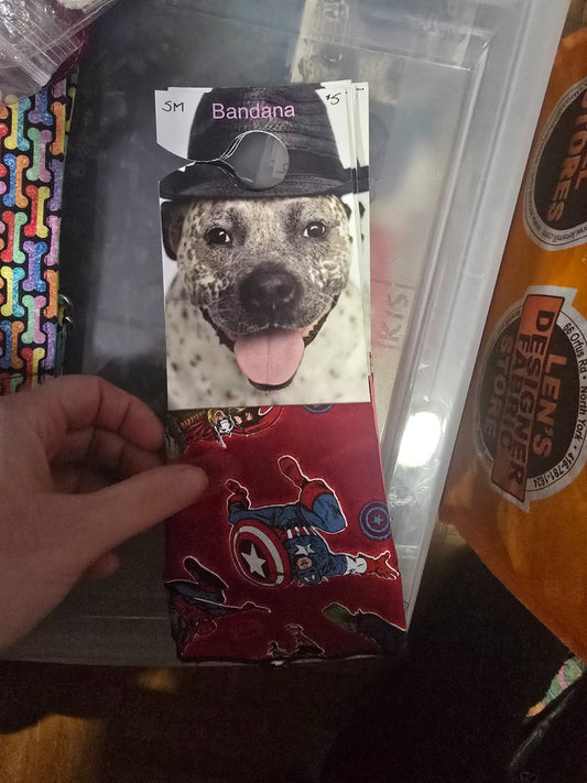 665f5e7d04f32b049949ecdf_sm-bandana-marvel-on-red_1768062637969.jpg