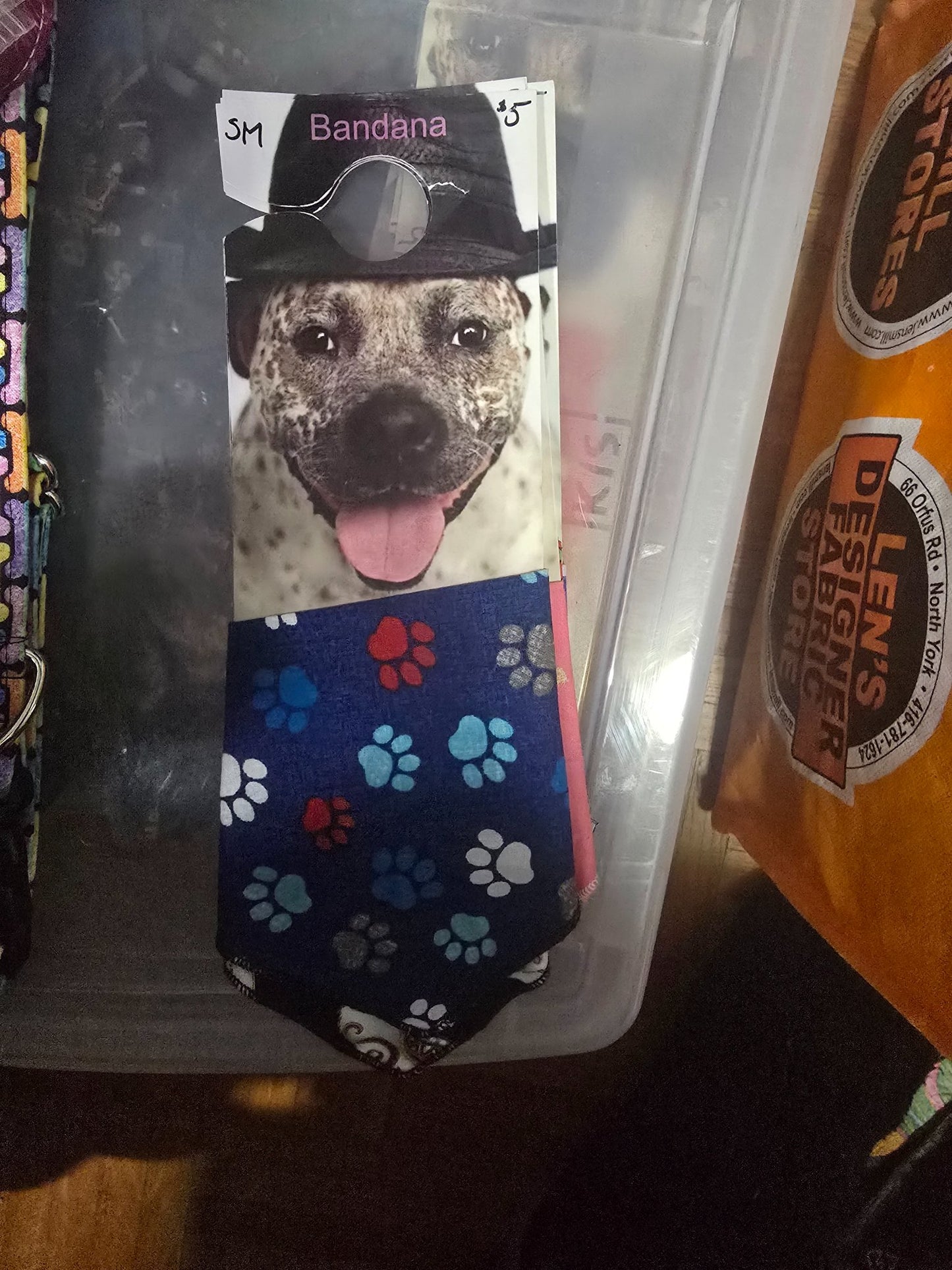 665f5e7d04f32b049949ecdf_sm-bandana-paws-on-blue_1768062088678.jpg