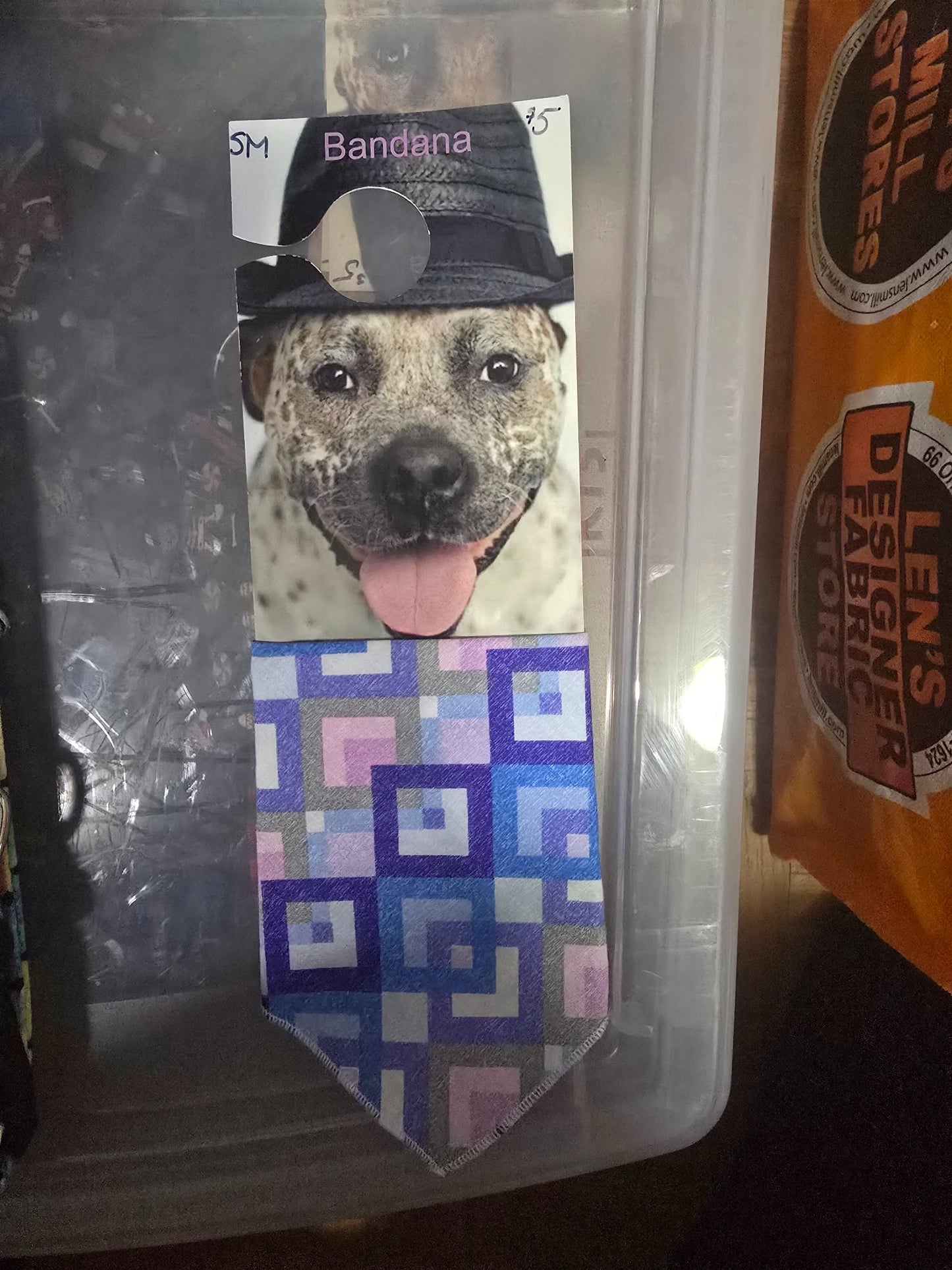 665f5e7d04f32b049949ecdf_sm-bandana-purple-squares_1768062698550.jpg