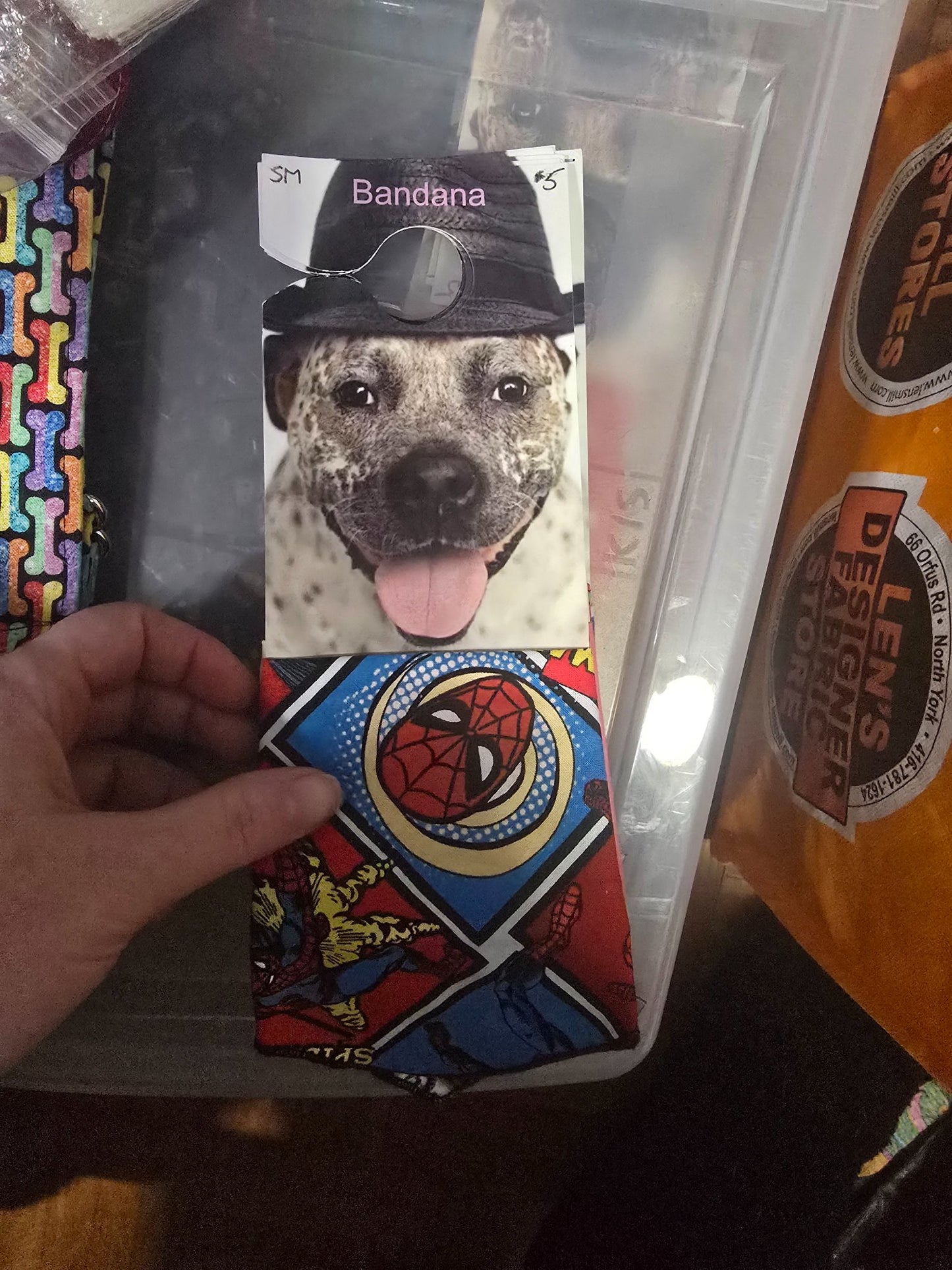 665f5e7d04f32b049949ecdf_sm-bandana-spiderman_1768062793612.jpg