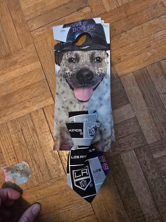 665f5e7d04f32b049949ecdf_sm-tie-la-kings_1762280531868.jpg