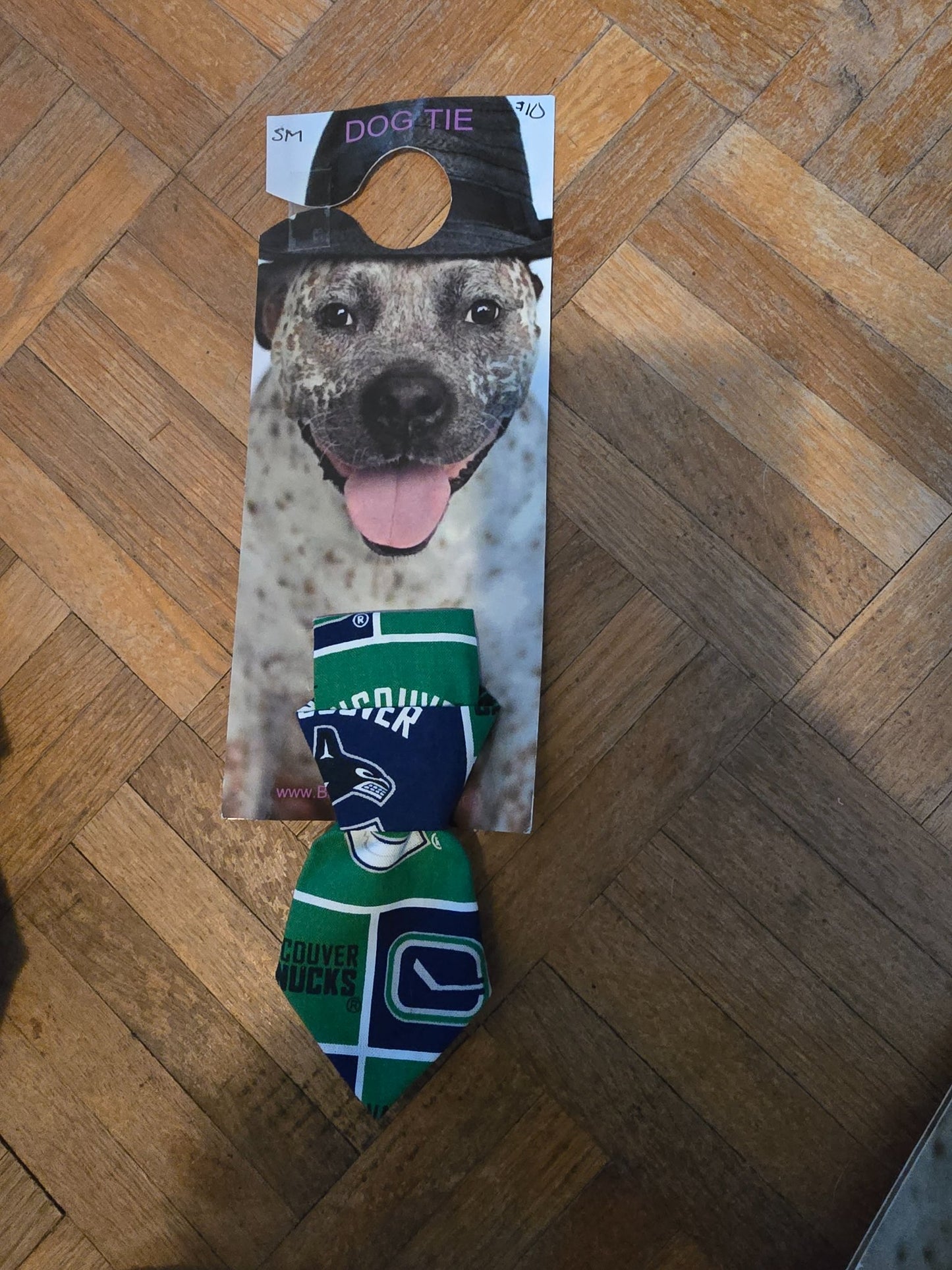 665f5e7d04f32b049949ecdf_sm-tie-van-canucks_1762281269519.jpg
