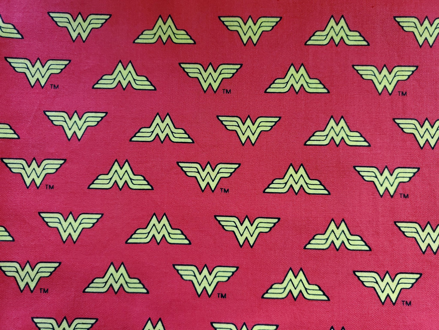 665f5e7d04f32b049949ecdf_small-wonder-woman_1762281925894.jpg