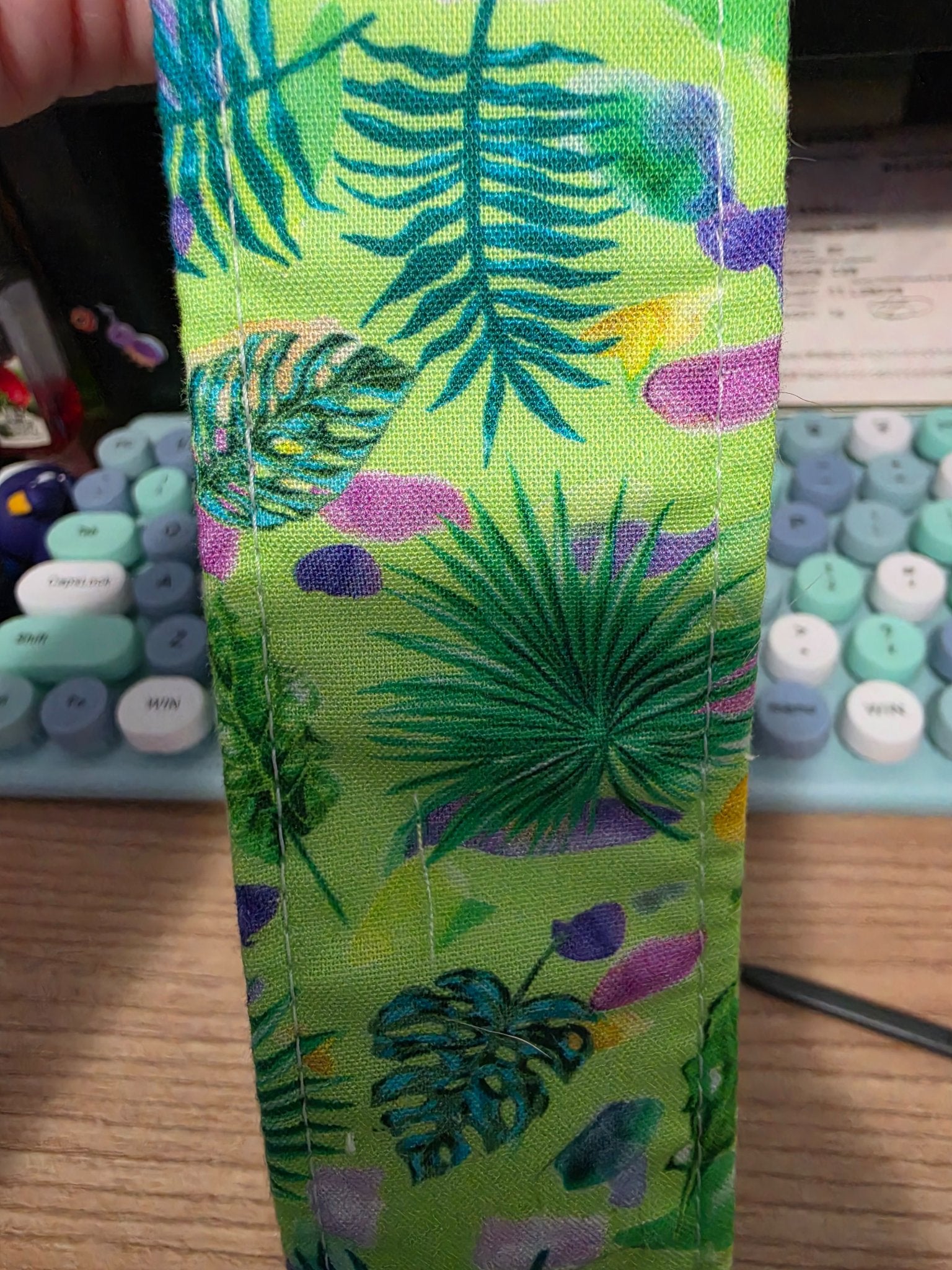 665f5e7d04f32b049949ecdf_tropical-plants_1781206036075.jpg