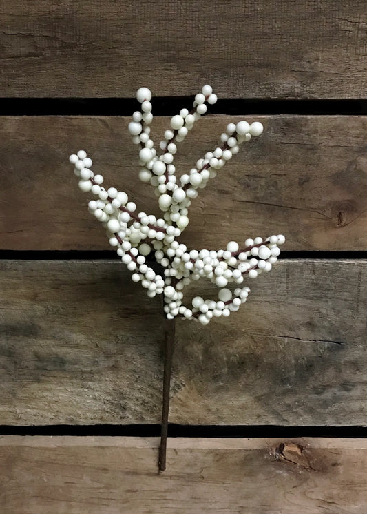 White Outdoor Berry Pick