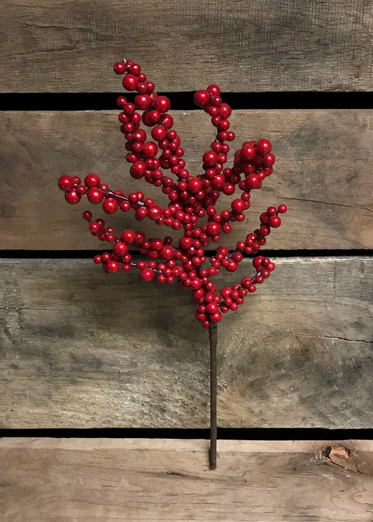 Red Outdoor Berry