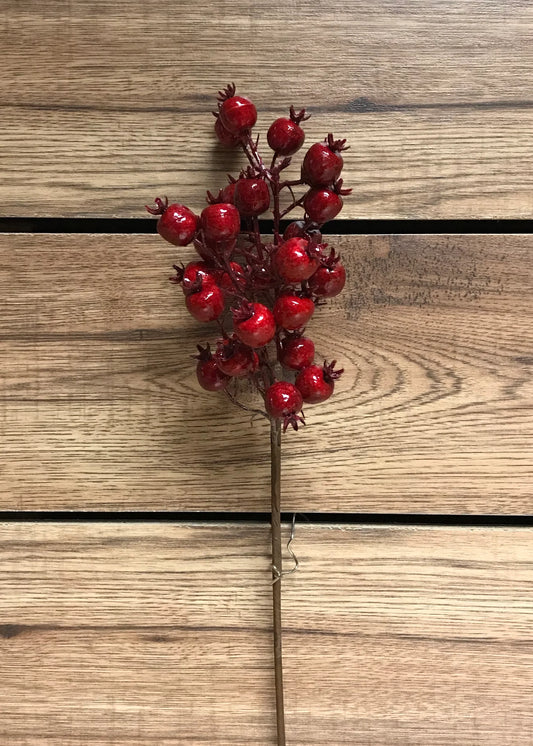 17" Outdoor red Berry