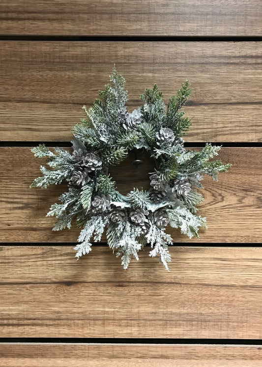 Snowy Pine Cone