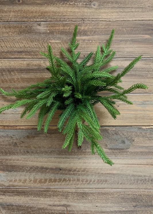12" Norfolk Pine Pick