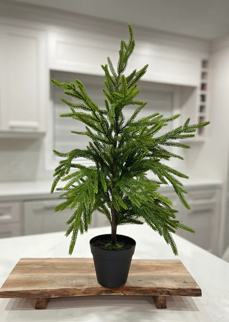 26" Soft Touch Pine Tree