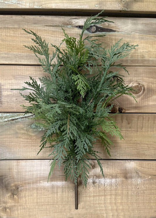 Northern White Cedar Bush 22"