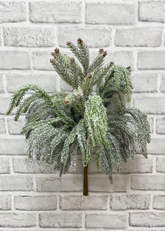 Snowy Norfolk Pine Bundle 20"