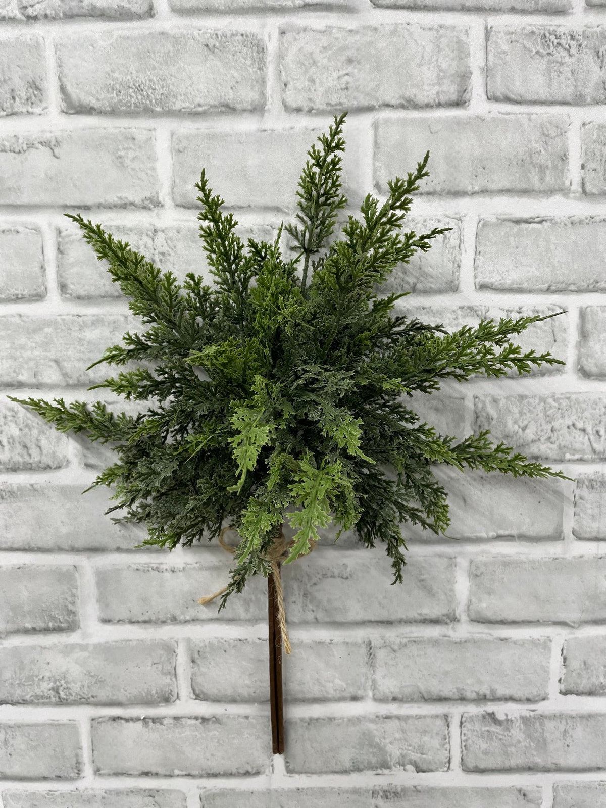 19" Eastern Red Cedar Bundle