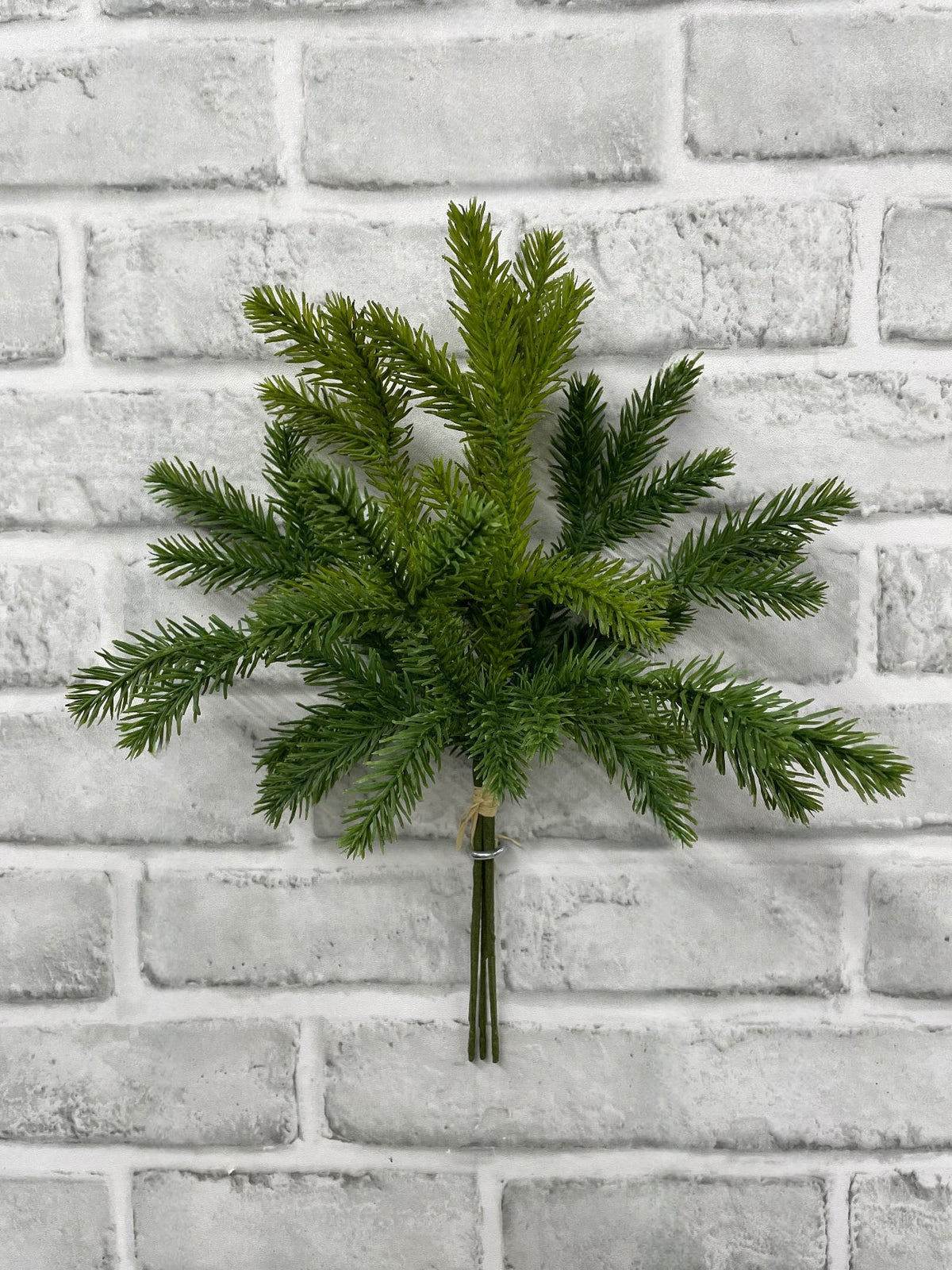 12" Spruce Bundle with 3 Stems