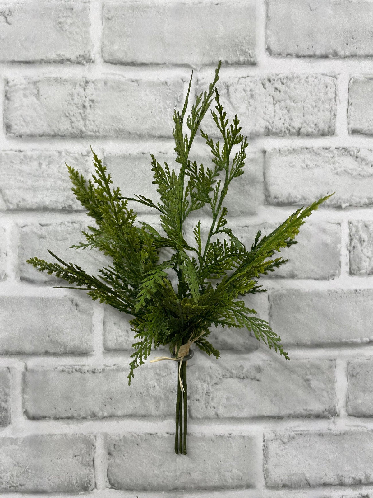 12" Cypress Spray Bundle
