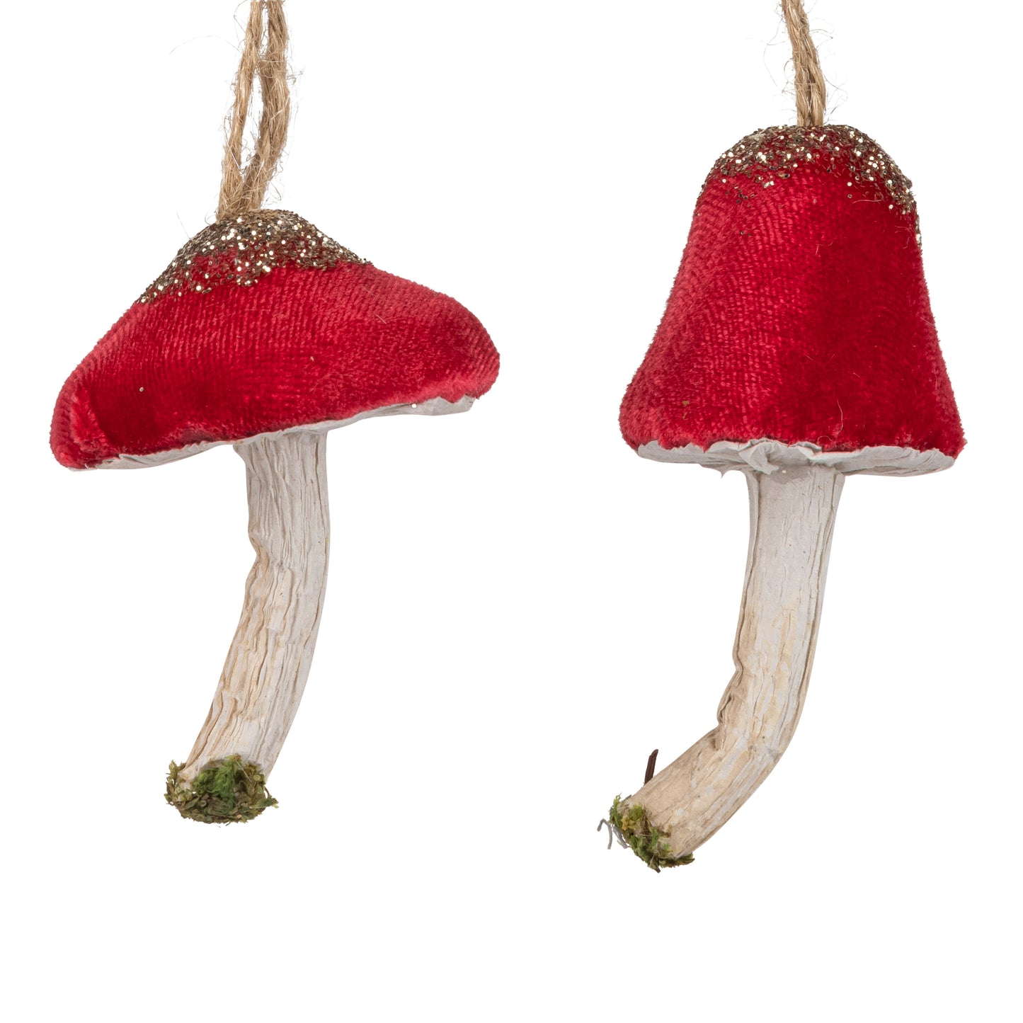 Red Velvet mushroom
