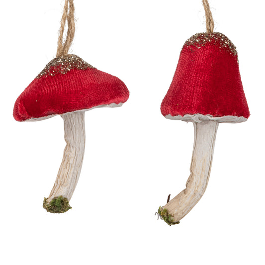 Red Velvet mushroom
