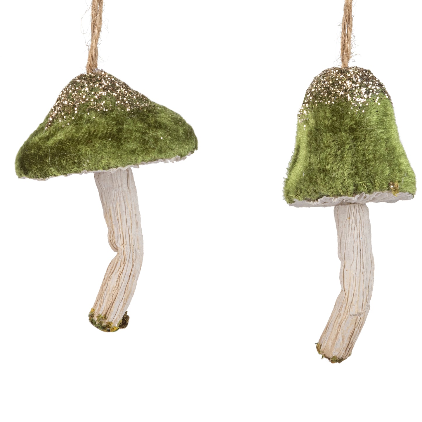 Green Velvet mushroom