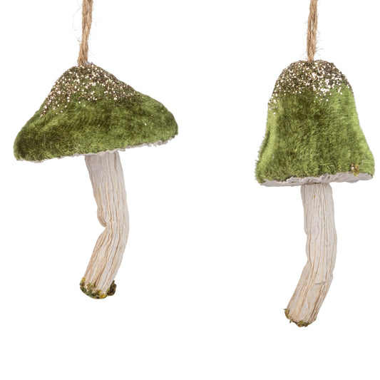 Green Velvet mushroom