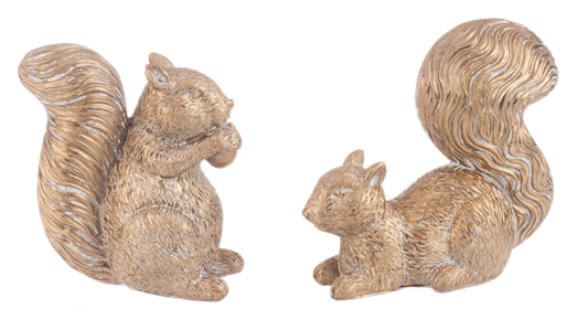 Metallic Squirrel