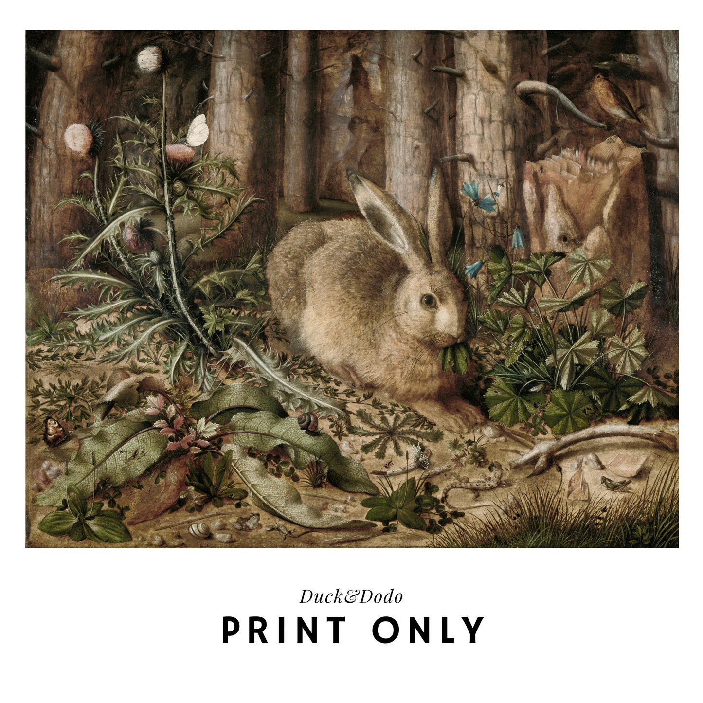 Antique Rabbit Print