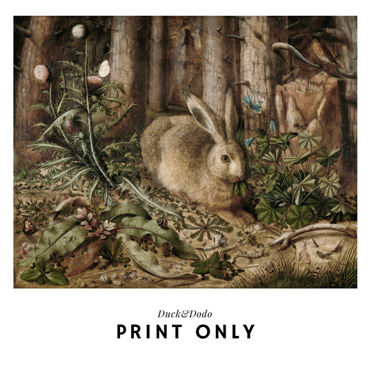 Antique Rabbit Print