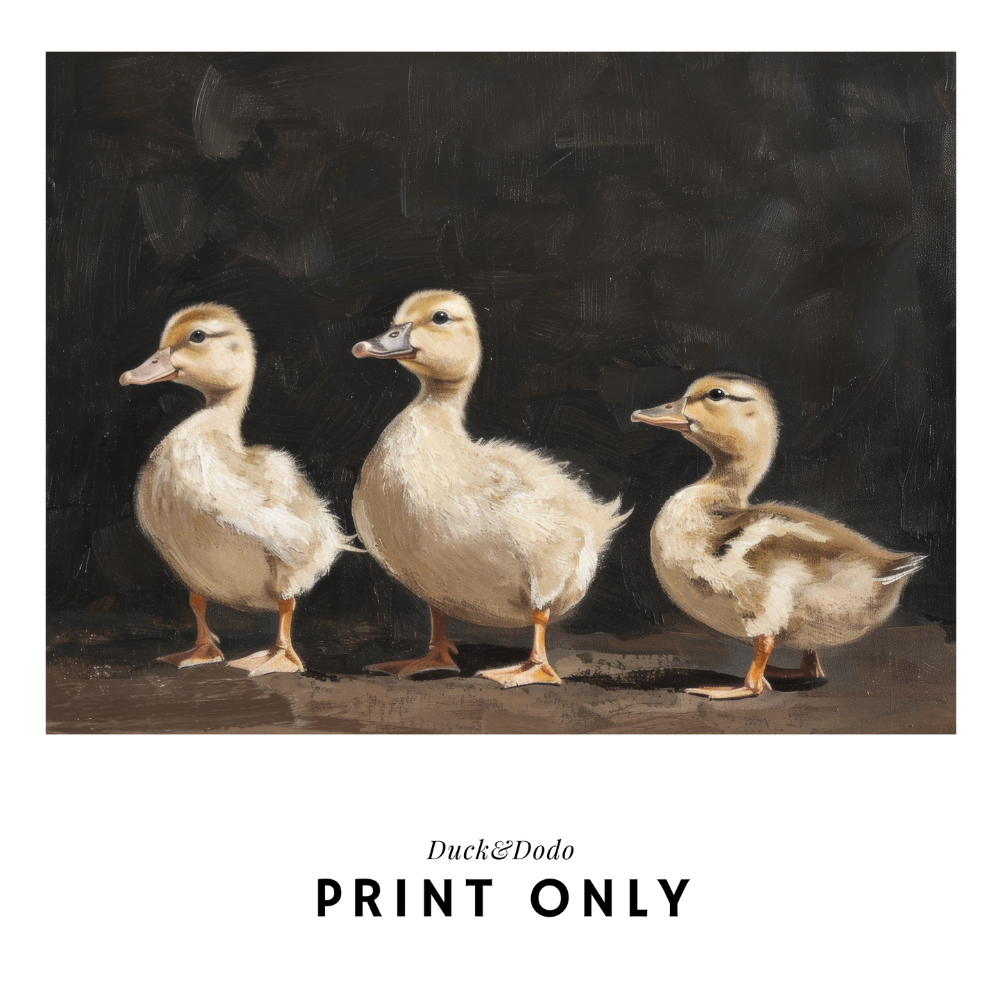 Trio of Ducks Print