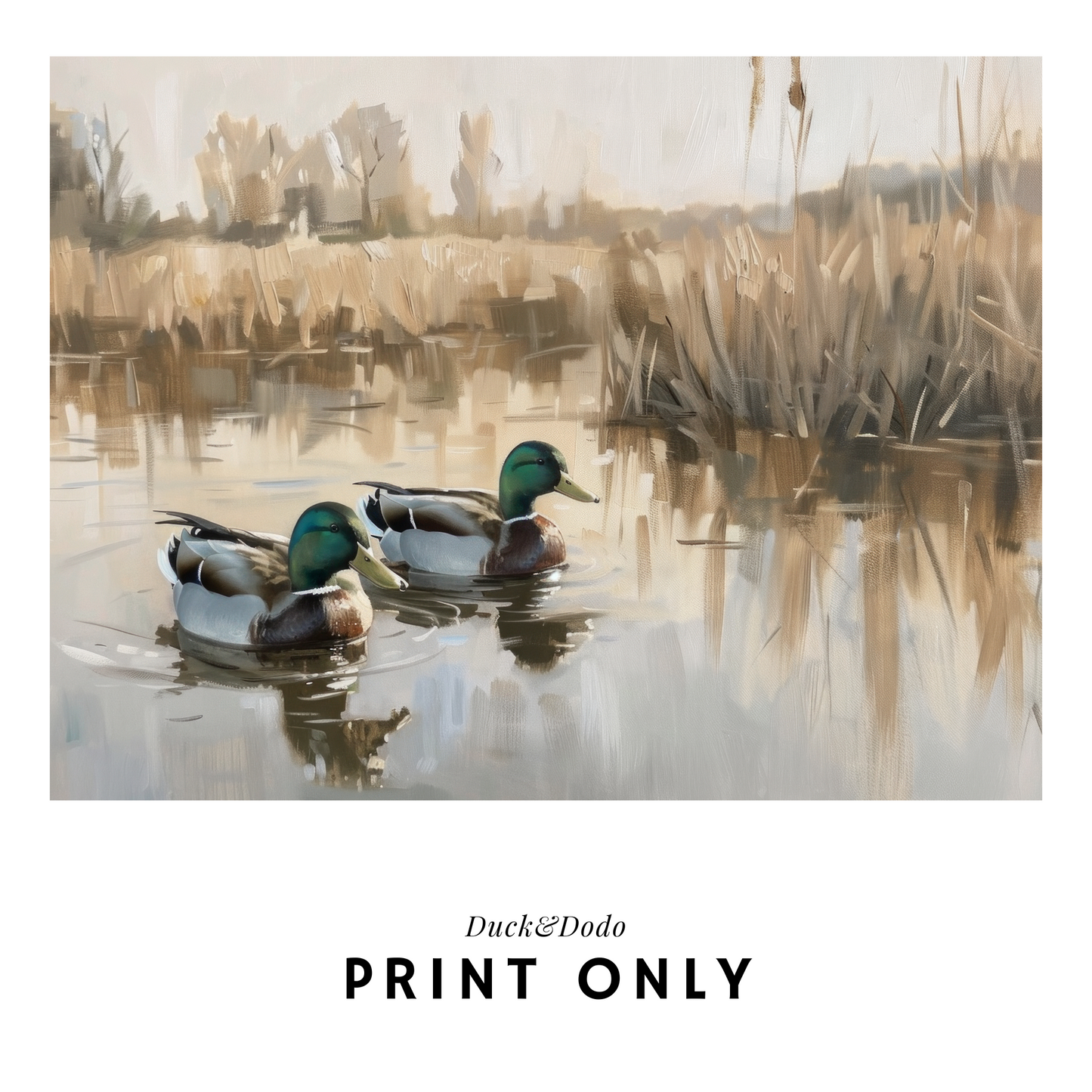 Ducks in Pond Print