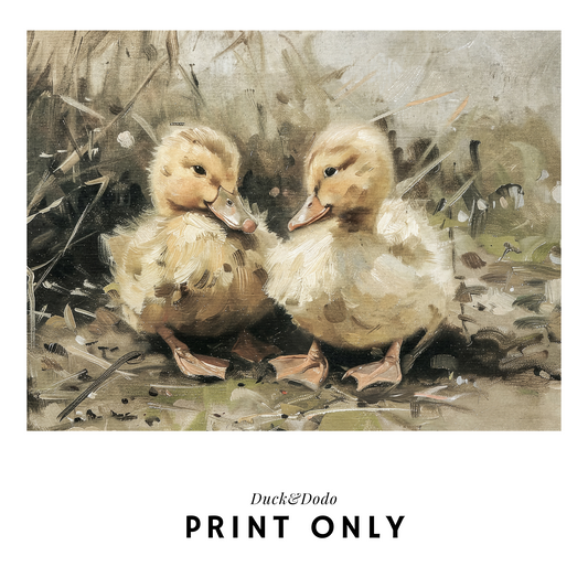 Pair of Ducklings Print