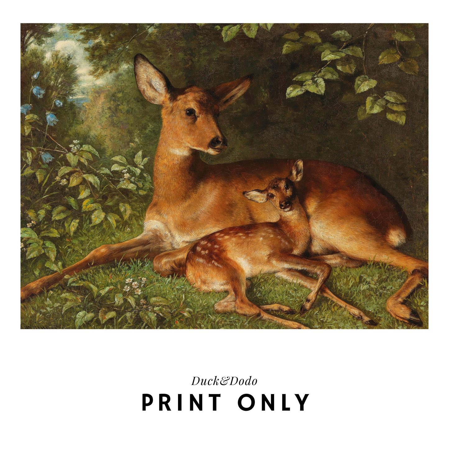 Deer and Fawn Print