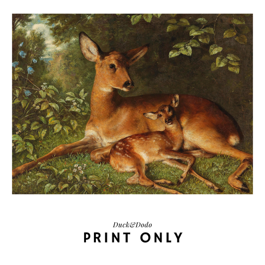 Print - Deer in Forest
