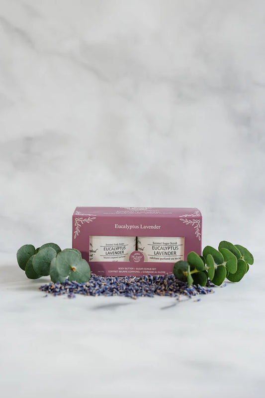Body Butter and Sugar Scrub - Eucalyptus