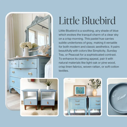 Little Bluebird