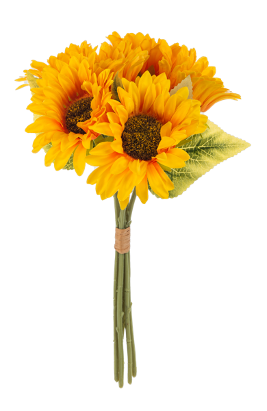 Sunflower Bundle