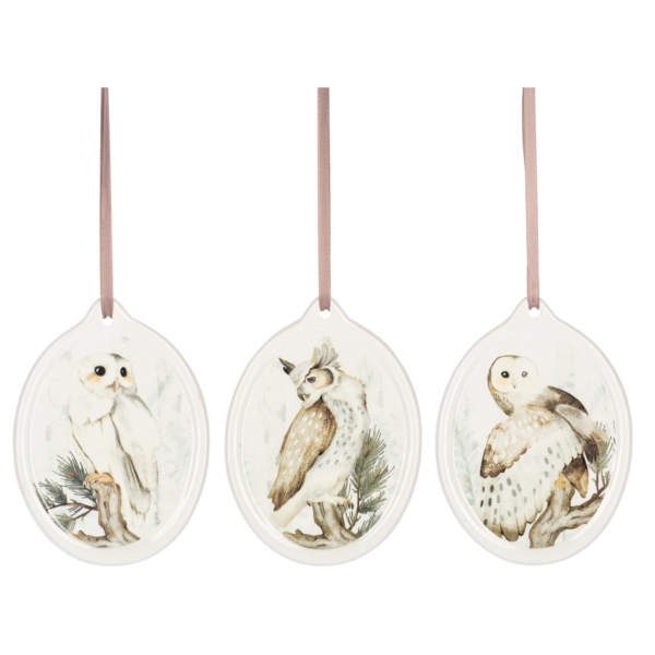 Winter Owl Oval Ornament