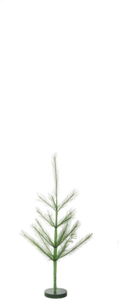 2 Feet Green Pompass Tree