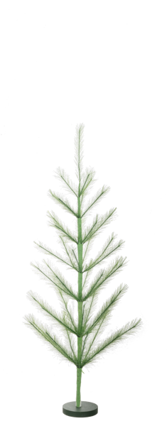 3 Feet Green Pompass Tree